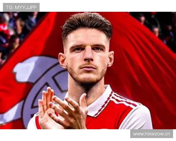 赖斯转会身价是否匹配其战术价值与表现